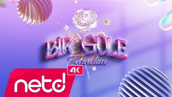 Nilüfer Bir Güle Kandım