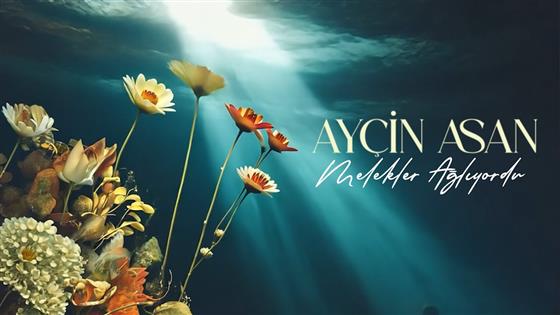 Ayçin Asan Melekler Ağlıyordu