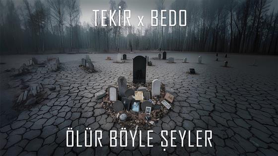 Tekir Ölür Böyle Şeyler