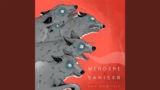 Mengene Sen Değilsin