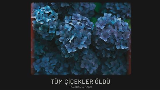 Taladro Tüm Çiçekler Öldü