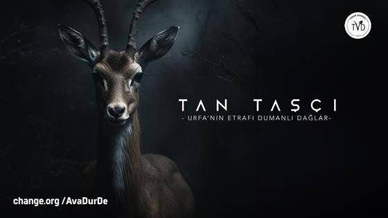 Tan Taşçı Urfa'nın Etrafı Dumanlı Dağlar