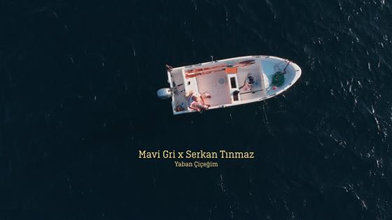 Mavi Gri Yaban Çiçeğim