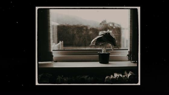 Hirai Zerdüş yar gelsin